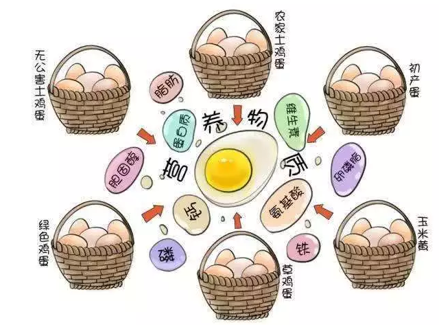 遍尋菜譜收集的雞蛋7中新吃法，第2中最好，第7中最營養(yǎng)